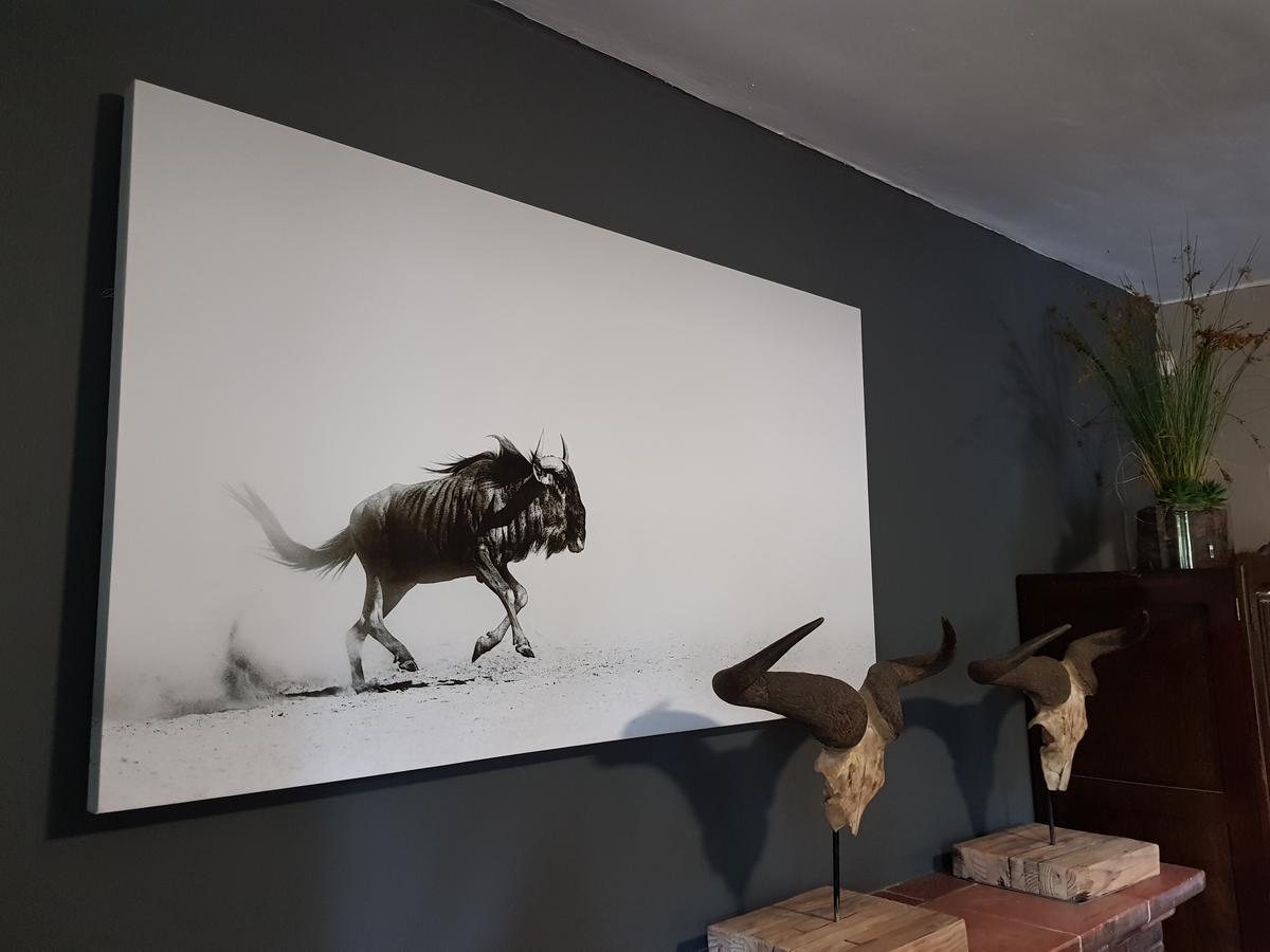 Hotel 440@Brooklyn Pretoria-Noord Zewnętrze zdjęcie