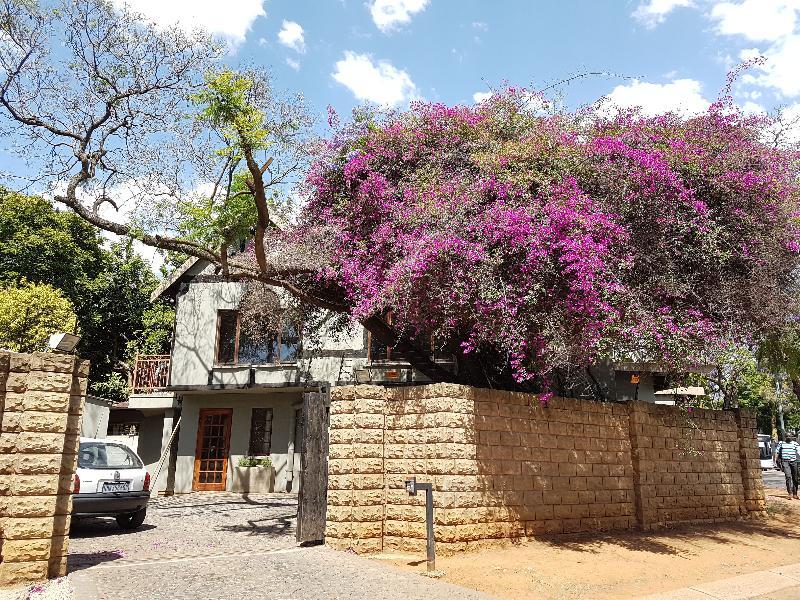 Hotel 440@Brooklyn Pretoria-Noord Zewnętrze zdjęcie