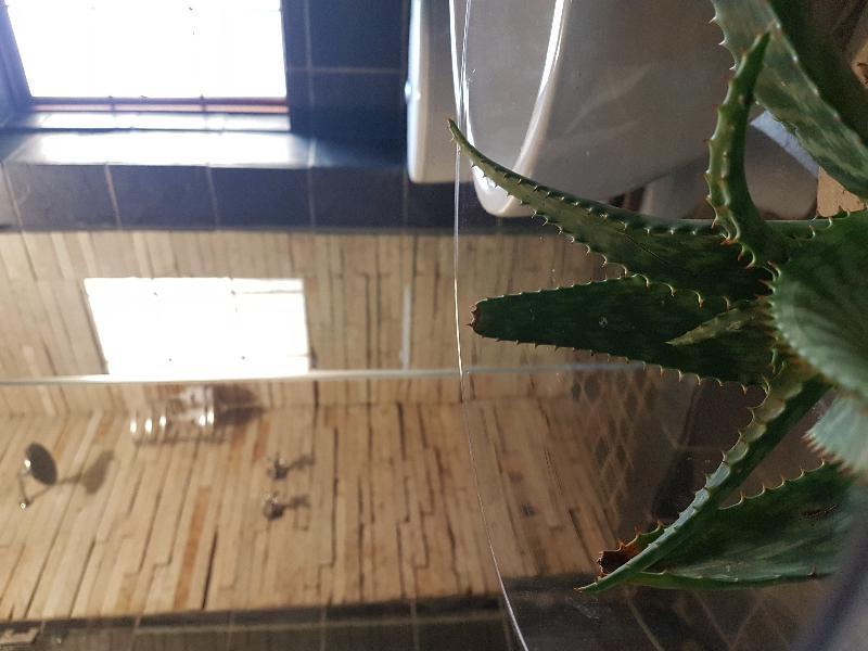 Hotel 440@Brooklyn Pretoria-Noord Zewnętrze zdjęcie
