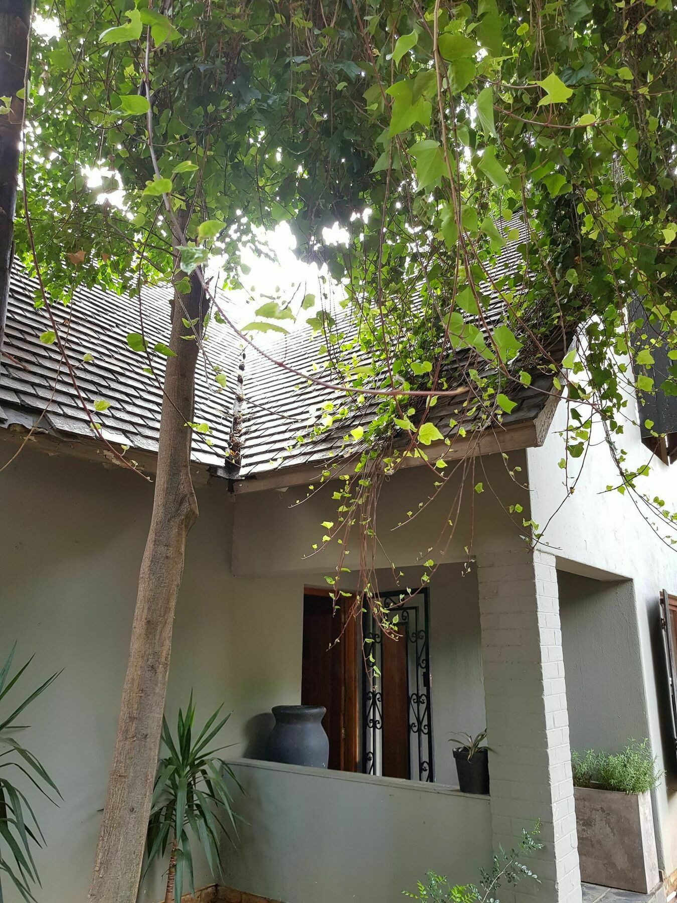 Hotel 440@Brooklyn Pretoria-Noord Zewnętrze zdjęcie