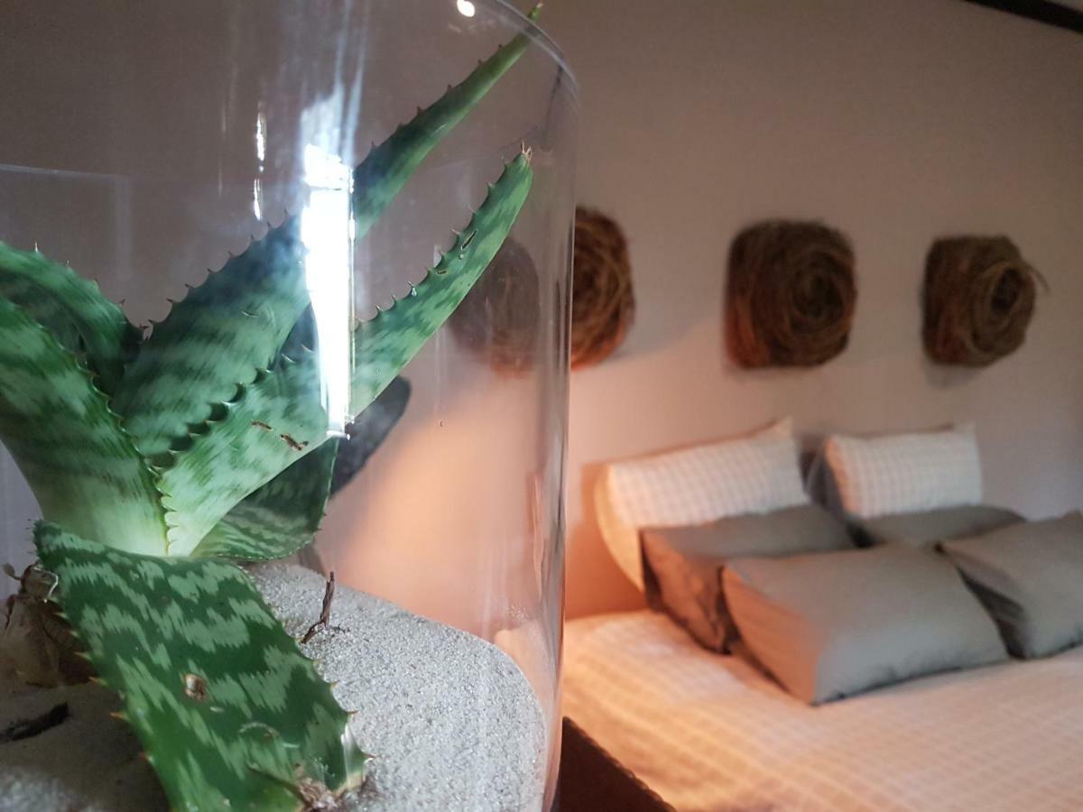 Hotel 440@Brooklyn Pretoria-Noord Zewnętrze zdjęcie
